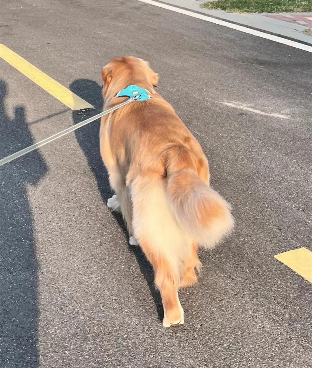 长时间运动服务