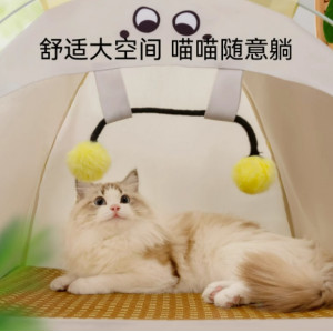 猫帐篷夏天宠物狗窝帐篷式可拆洗网红小猫咪窝夏季